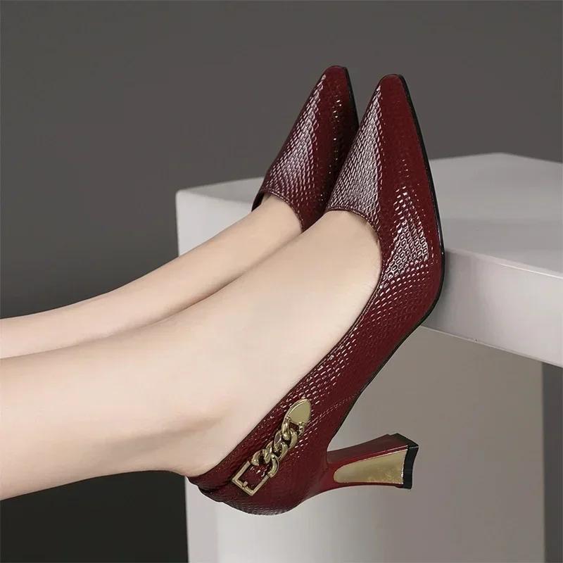 Fashion Women High Heels Shoes Sexy Pointed Toe Elegant Sandals Woman 2025 New Spring Designer Party Trend Pumps