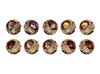 AFORCE X DRAGON HORSE Holo Badge Box of 10 "Overlord"