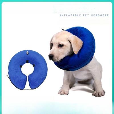 Köpek – Köpek bakım ürünleri