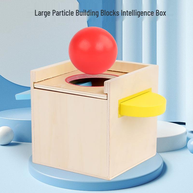 Montessori Wooden Ball and Coin Box - Early Education and Intelligence Development Toy