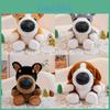 Perros – Juguetes para perros