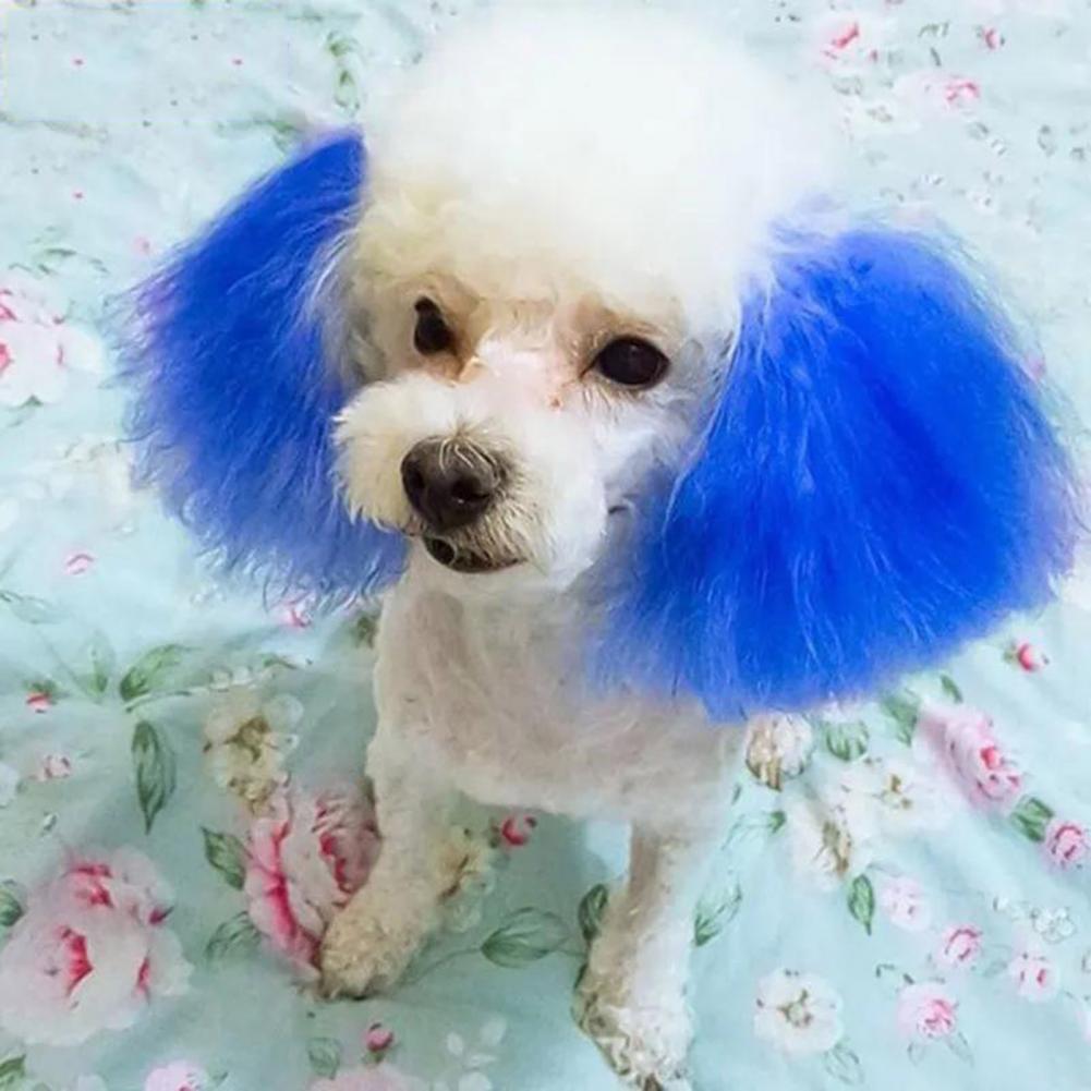 100ml Crème Colorante pour Animaux Longue Durée Coloration Cheveux Chien Non Irritante Extraits Naturels Colorant Cheveux Chat Chien Accessoires pour Animaux