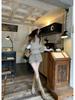 Women's High-Waisted Retro Khaki Wool Shorts - Winter Hip-Hugging A-Line Casual Straight Leg Pants
