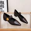 French Thick Heel Velcro Shallow Mouth Single Shoes Women's 2025 Autumn New Pointed Foreign Style Versatile Mary Jane Small Leather Shoes