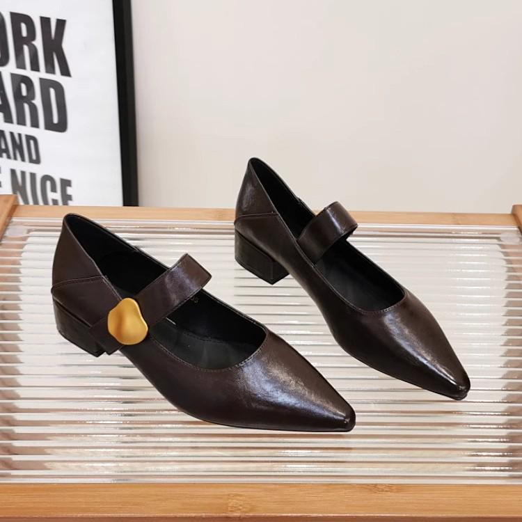 French Thick Heel Velcro Shallow Mouth Single Shoes Women's 2025 Autumn New Pointed Foreign Style Versatile Mary Jane Small Leather Shoes