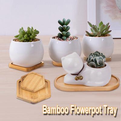 Bonsai Holder Planters Pot Stander Round Square Hexagon Rectangle Flowerpot Base Bamboo Tray