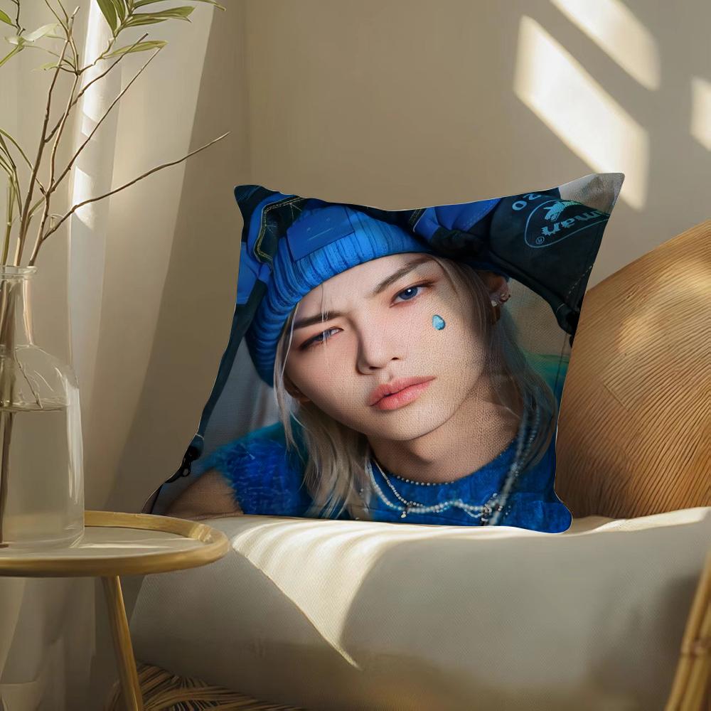 S-Strayskidssf-Felixs Pillow Case Pillowcase, Double-Sided Printed, Sofa Cushion, Bedroom Headboard