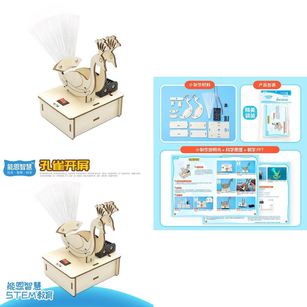 Peacock Opening Diy Science Experiment Wooden Material Customizable Handmade Toy