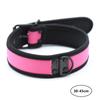 Exotic Accessory of Puppy Play Bondage Collar Strap for Men Women Bdsm Slave Cosplay Fetish Sponge Choker Flirt Erotic Sex Toys