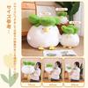 NASSIA Plush Toy - Cabbage and Bird - Funny, Cute, Humorous Item, Body Pillow, Relaxing Item, Gift (40cm)