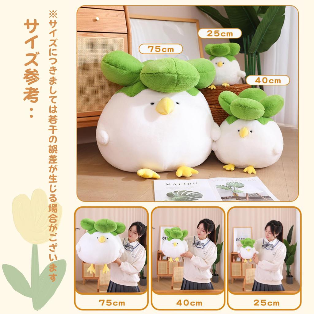 NASSIA Plush Toy - Cabbage and Bird - Funny, Cute, Humorous Item, Body Pillow, Relaxing Item, Gift (40cm)