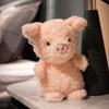 Scribbled Plush Pig Doll - 8-Inch Curly Stuffed Toy for Children