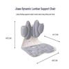 JAGO Dynamic Lumbar Support Office Chair
