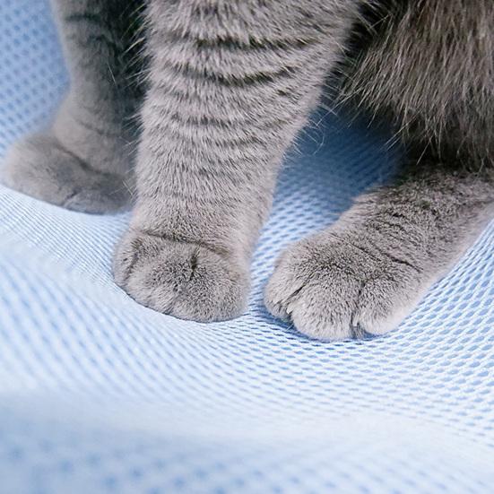 Kattehengekøye kjæledyrbur Myk pustende hengende seng Bærbar Rivesikker kattehusputematte Kjæledyrtilbehør