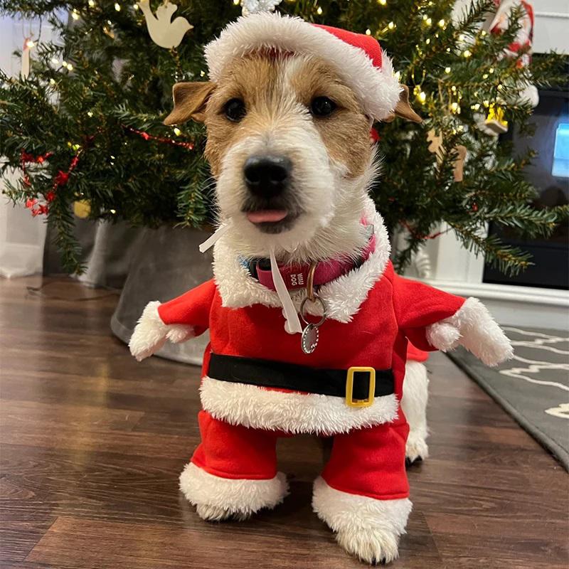 Niedliches Hunde Weihnachtsmann Outfit Weihnachtskostüm für kleine Hunde Katzen Teddy Yorkie Cosplay Kleidung Verkleidung Jumpsuit Partyzubehör