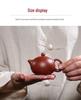 Yixing Zisha Xi Shi Teapot - Handmade 100cc Da Hong Pao Clay Design