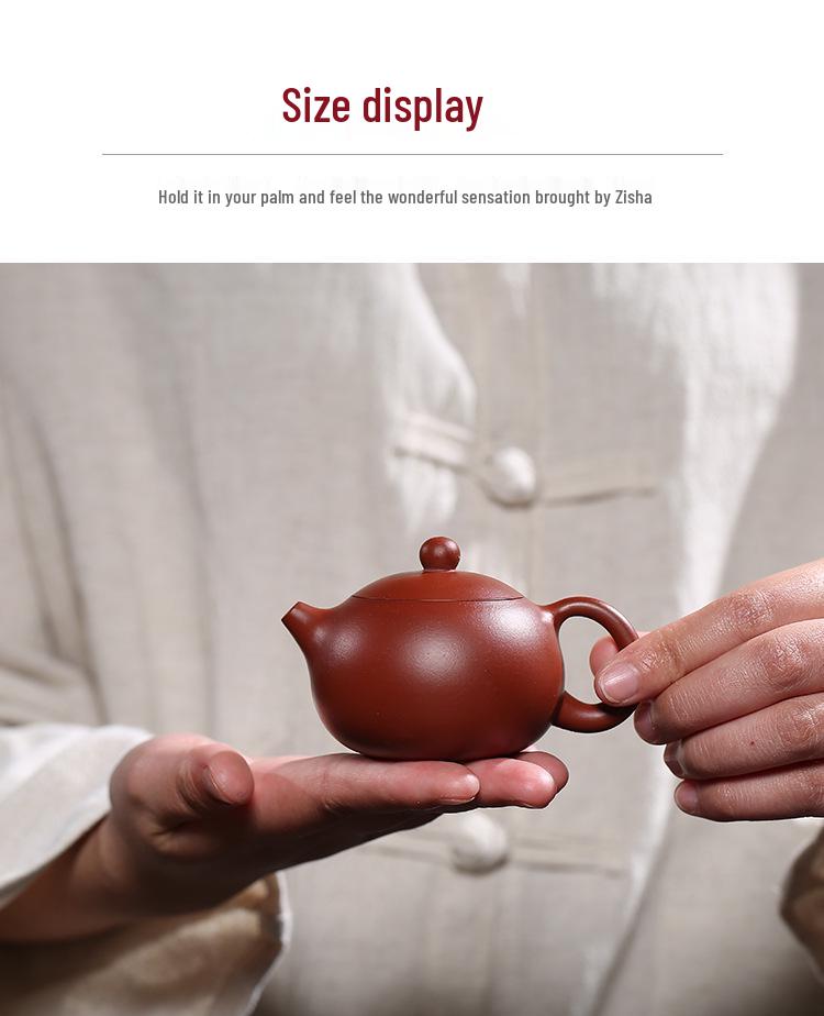 Yixing Zisha Xi Shi Teapot - Handmade 100cc Da Hong Pao Clay Design