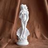 Venus Goddess Sculpture, Matte White Resin Venus Figurine, European Style Artistic Desktop Decoration for Living Room Study Room Home Office Decor