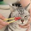 Husdjurs Ögonkam Borste Husdjurs Tårfläckborttagare Kam Dubbelsidig Ögonvårdsborste Tar Bort Skorv Slem För Liten Katt Hund