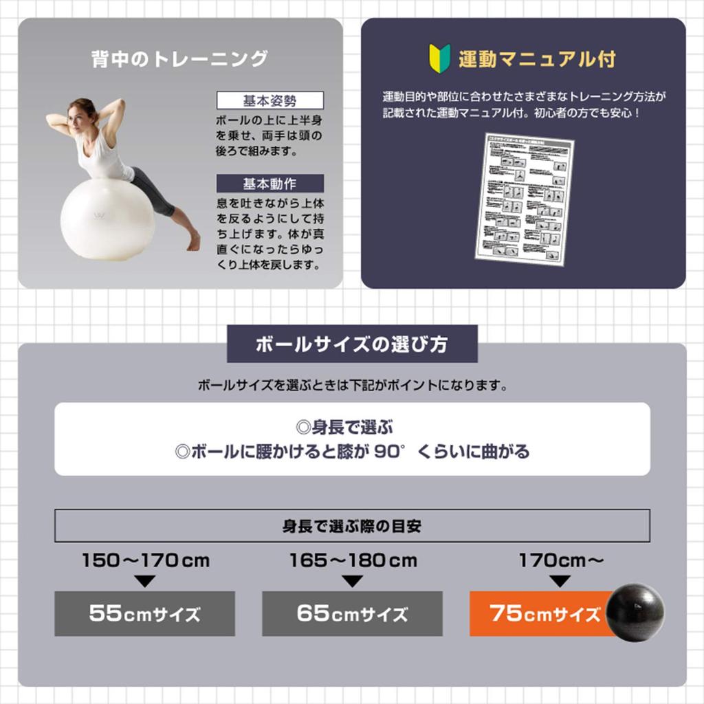 ALINCO Exercise Ball 75cm WBN075