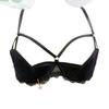 Year of the Rat Lace Padded Bra Set: Enhances Bust with Half-Cup Design