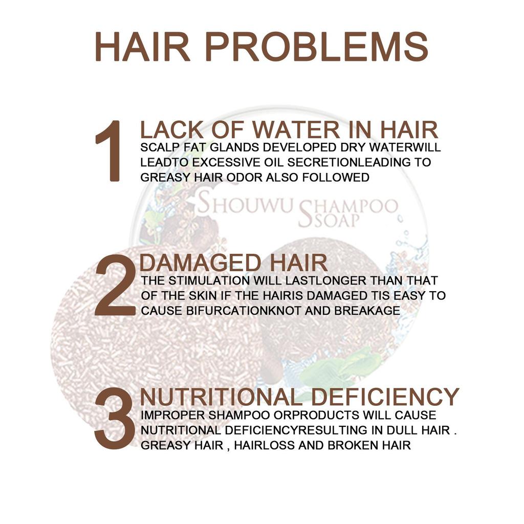 EELHOE Polygonum multiflorum Shampoo Cake; Nutritive Hair Root Essential Oil Shampoo Soap; Dark and Smooth Plant-Based Shampoo