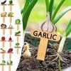 15PCS Reusable Plant Markers T-Type Vegetable Name Tag Insert Type Plant Sign  Garden Use