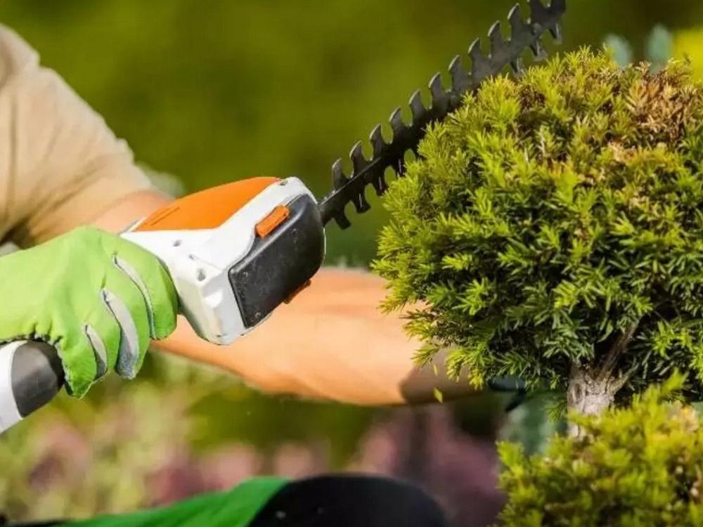 Hedge Shears Dl-0121 (12) Gab_B
