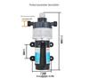 XTL Mini Diaphragm Pump: Low-Noise, Self-Priming RV Water Booster Pump, 120W DC Electric.