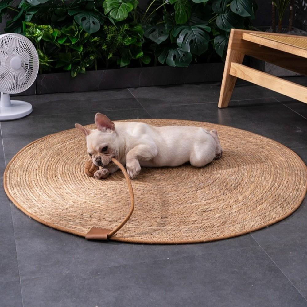 40/50/60cm Cat Scratcher Bed Weaving Cat Scratching Post Cat Scratch Pad Cat Toys