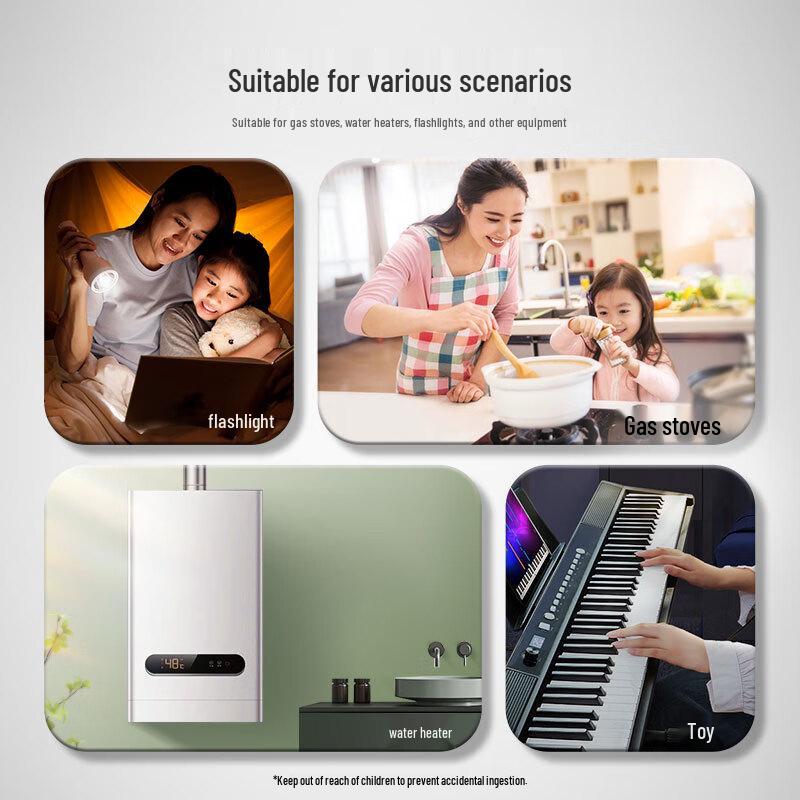 GP D Size 1.5V Alkaline Batteries (2-Pack) CN plug (adapter included)