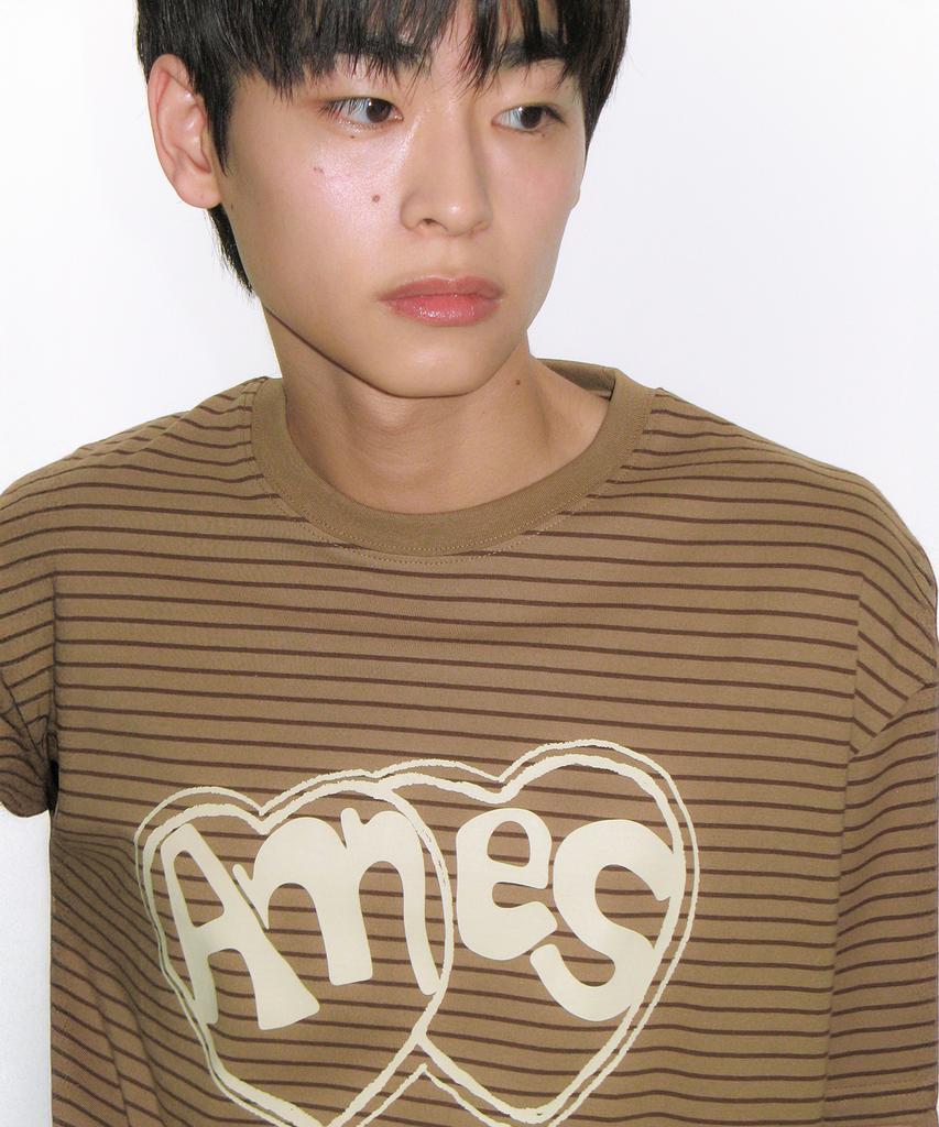 AMES-WORLDWIDE Heart Spray Stripe Tee Brown