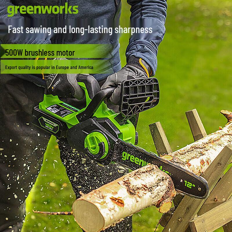 

Greenworks Lithium-Ion Cordless Chainsaw CN plug (adapter included)