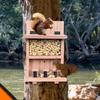 Squirrel Food Feeder Waterproof Chipmunk Feeder Wear-Resistant Sturdy Funny Novelty Removable Mounted For Backyards Gardens