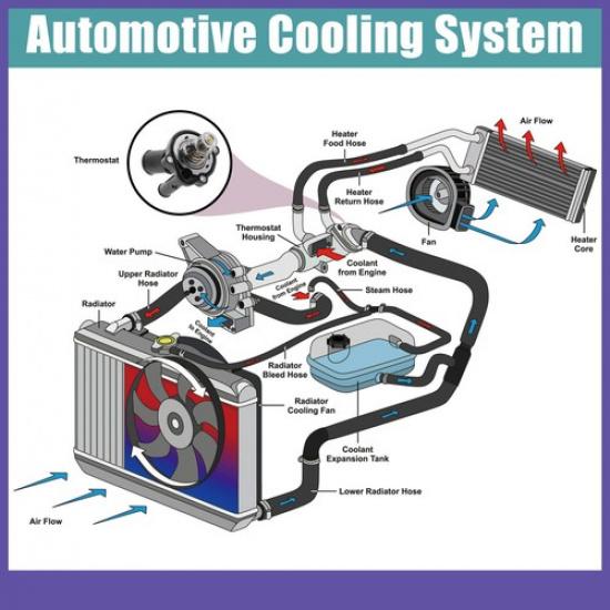 Thermostat Housing Assembly Single  for Ford Transit 3M4Z8575B Plastic