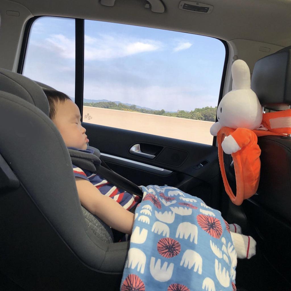 rearward facing mirror