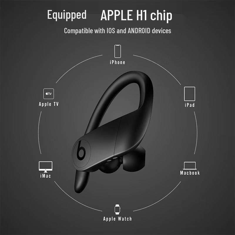 Beats Powerbeats Pro Wireless Earbuds