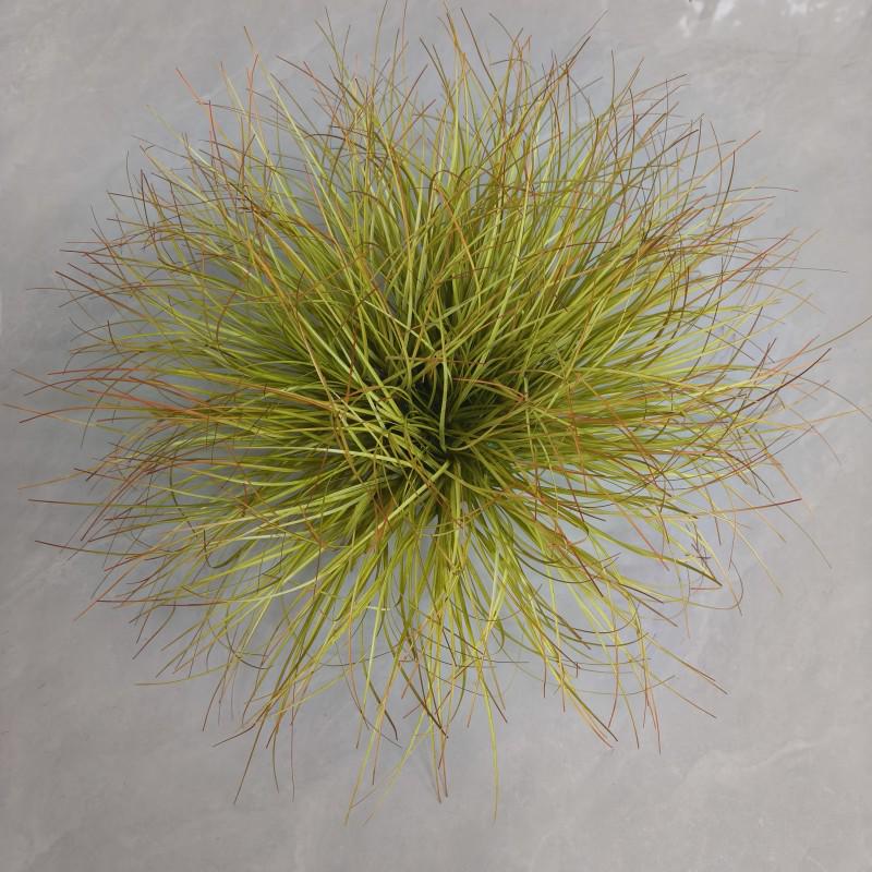 Artificial Grass Ball Ornament for Indoor Landscaping and Photography 