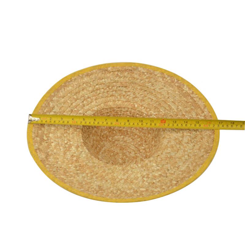 Wide Brim Straw Sun Hat