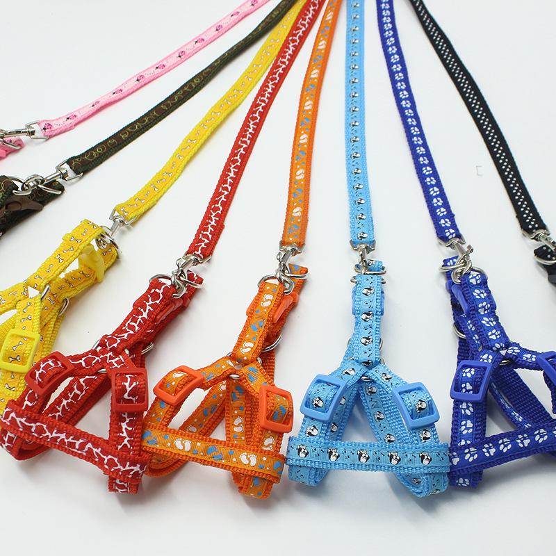 

Teddy Dog Walking Leash: Printed Dog & Cat Rope with Applique 1.0cm Collar Only