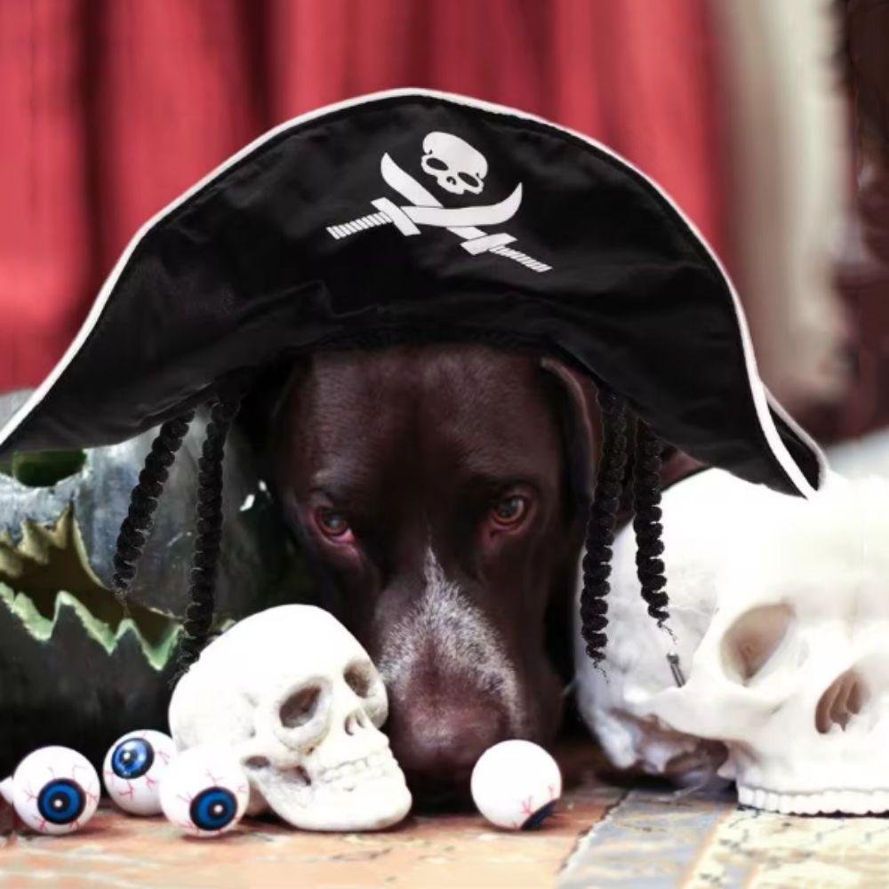 

Регулируемая шляпа пирата для питомца, дышащая шляпа для кошки-паука, костюм для питомца на Хэллоуин, шляпа для собаки и кошки фиолетовый