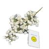 Home Hop Flower Garden Decoration Wedding Ornament Photography Gift Props