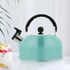 Tea Kettle Flat Bottom Stainless Steel Teapot for Stovetop Induction Cooker 3L Large Capacity