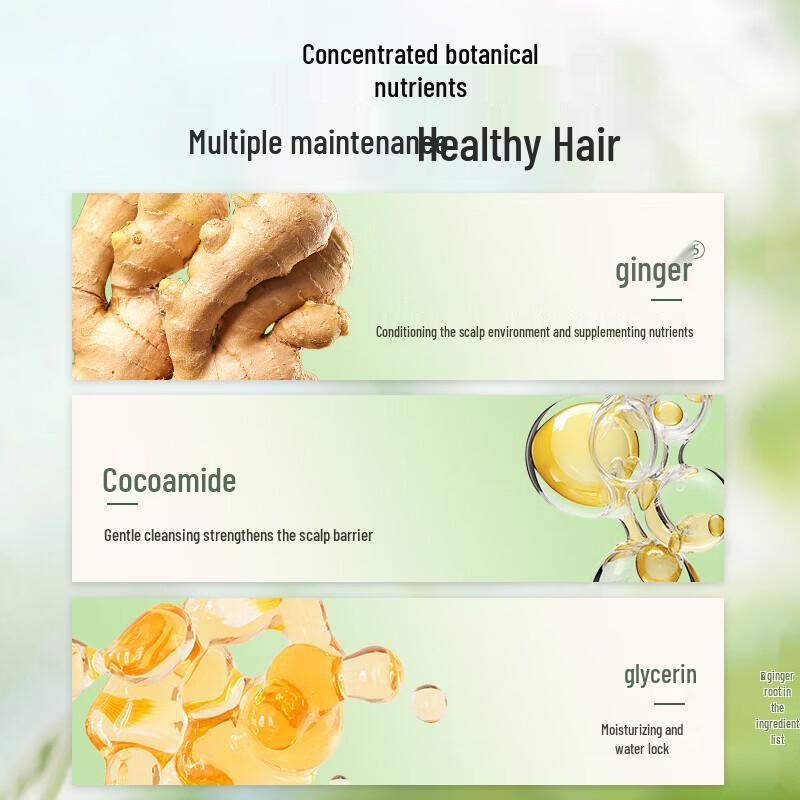 Zhuolanya Ginger Oil Control Shampoo