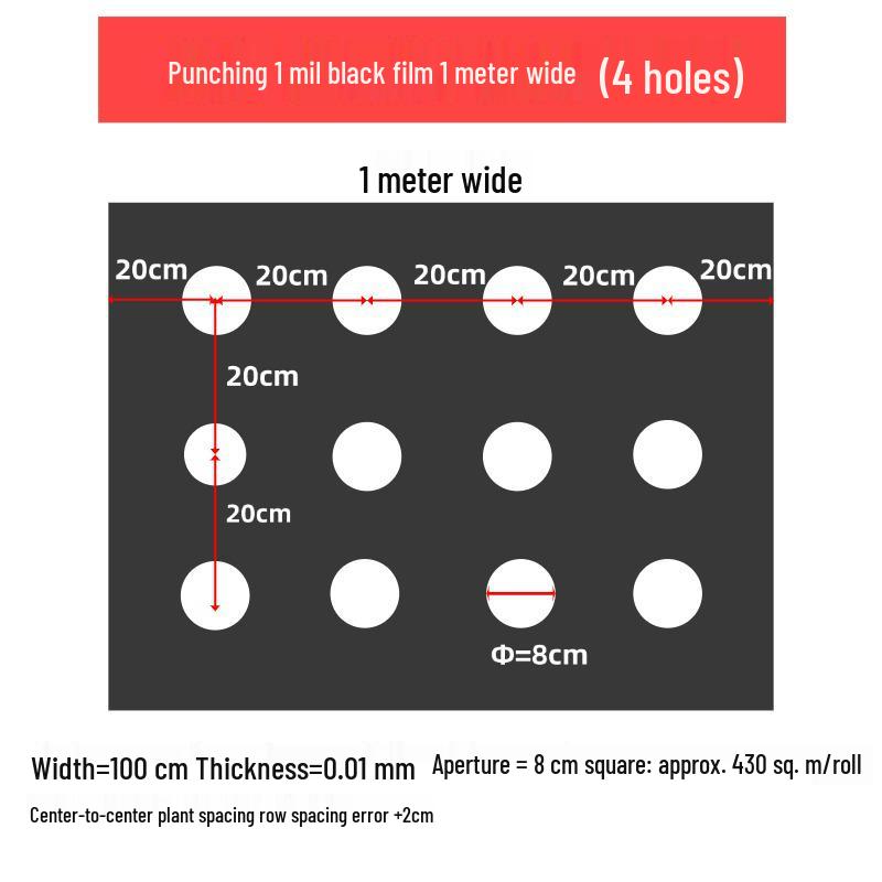 Perforated Black Mulch Film for Moisture Retention and Weed Control in Vegetable and Herbal Planting