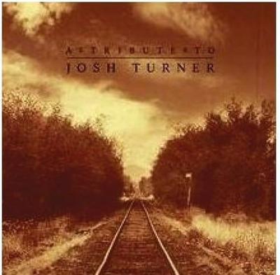 CD VARIOUS ARTISTS, PAT MCLAUGHLIN, JO - A Tribute To Josh Turner   Japan Music Others Used
