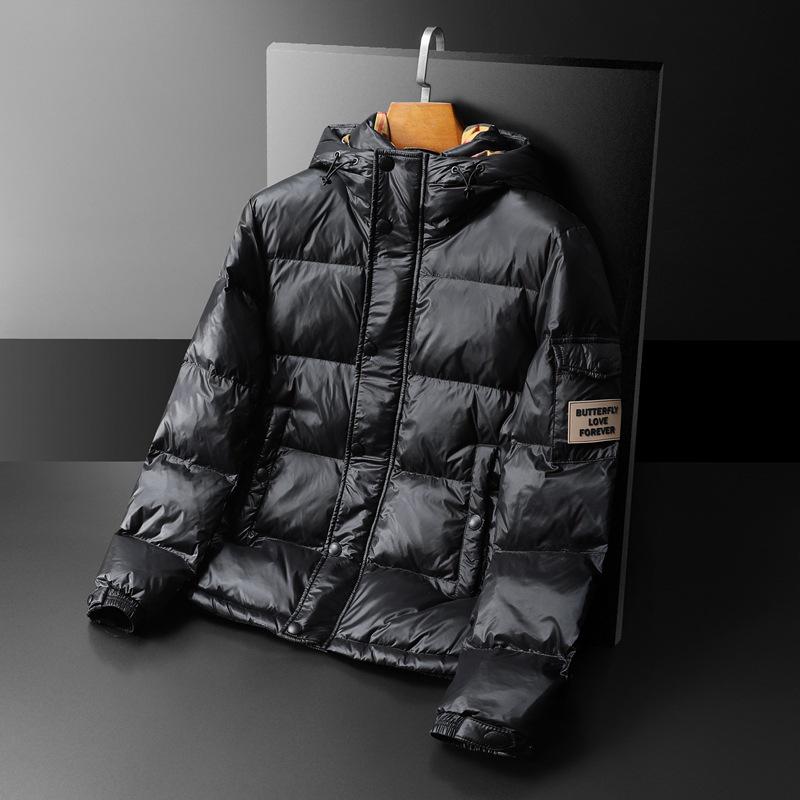 Doudoune à capuche décontractée et tendance pour homme, style européen, hiver 2025 - Duvet de canard blanc