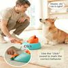 Cats Foraging Feeder Teasing Kibble Feeder Desktop Floor Exercise Playing Multifunctional Cats Pedal Toy