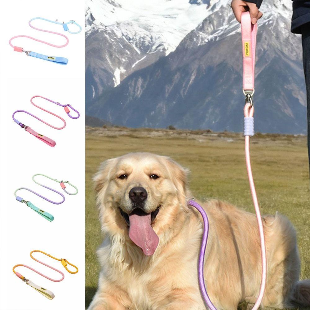 Heavy Duty Dog Leash Gradient Color Pet Training Leash Anti-Escape Anti-Pull Leash  Outdoor Use