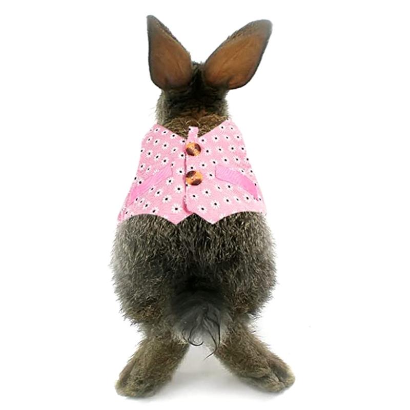 Pet Harness and Leash Small Animal Suit Vest Harness Outdoor Activity Training Small Pet Leash Clothes for Guinea Pigs
